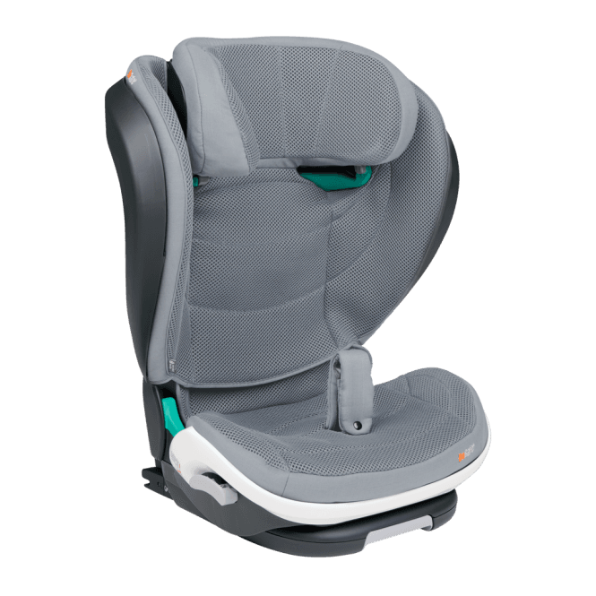 BeSafe Flex Fix 2 