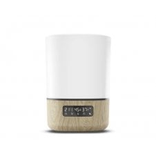 Breathe Humidifier